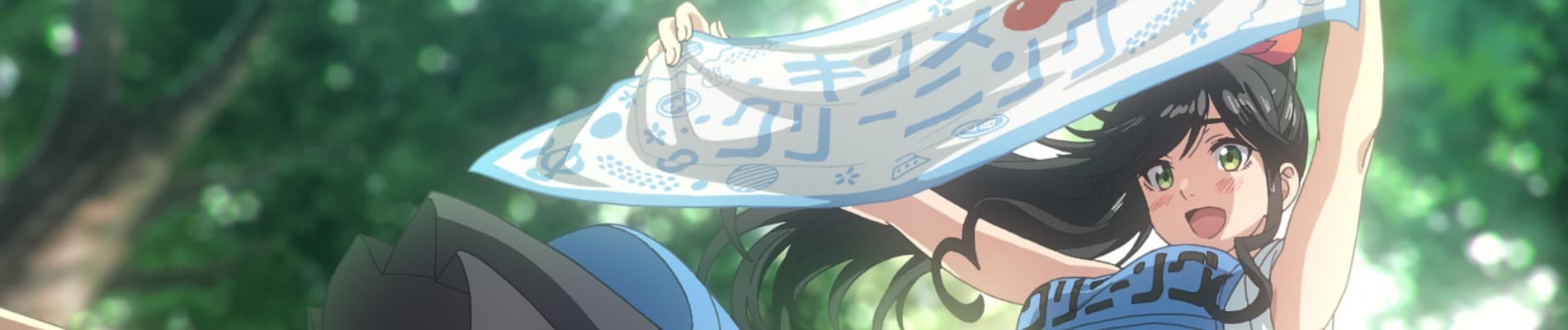 Banner for Wash It All Away