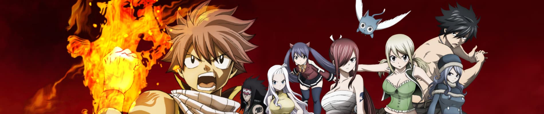 Banner for Fairy Tail Series 2